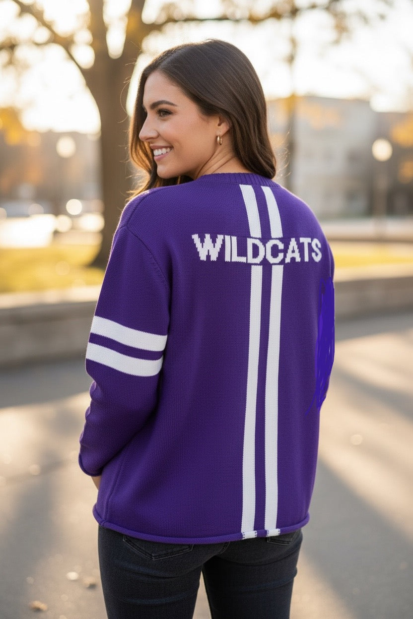 Northwestern Wildcats Long Sleeve Cotton Sweater - Newport Knits