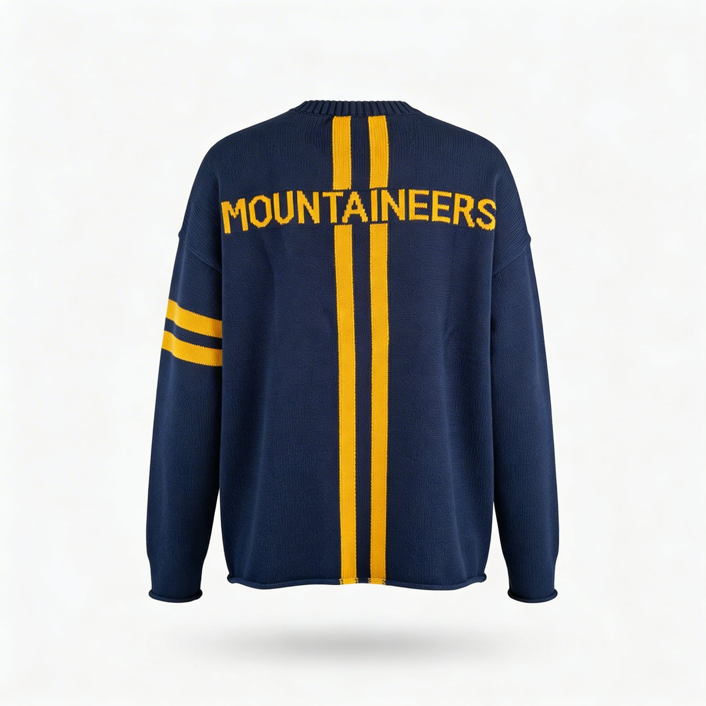 West Virginia University Mountaineers